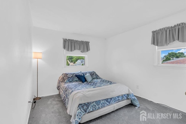 3 Topaz Ln, Iselin, NJ 08830 - carpeted bedroom featuring multiple windows