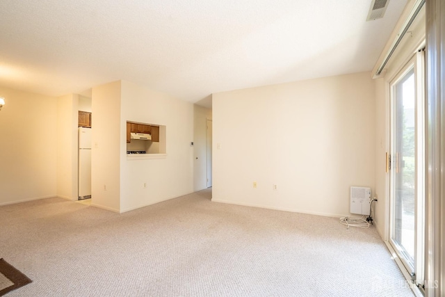 empty room with light carpet, plenty of natural light, and heating unit