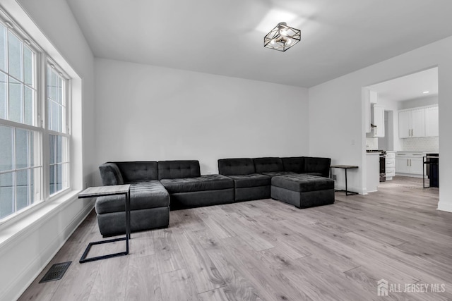 131-B Dutch Rd, East Brunswick, NJ 08816 - living room featuring healthy amount of natural light, light wood-type flooring, and baseboards