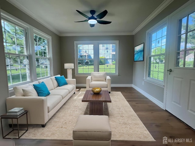 16 Canterbury Dr, Monroe, NJ 08831 - photo 14