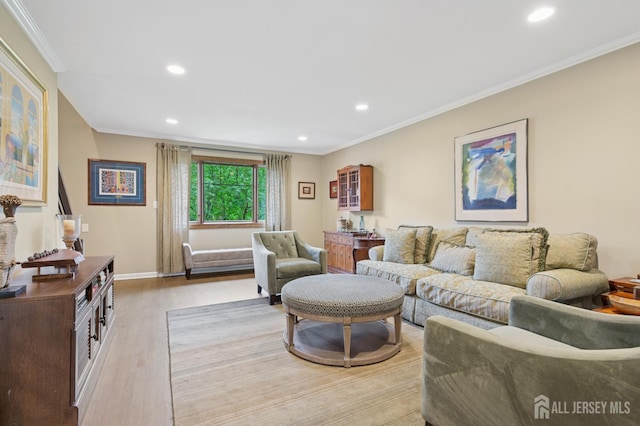 6 Steven Rd, South Brunswick, NJ 08824 - living room featuring ornamental molding, light wood-style flooring, and recessed lighting