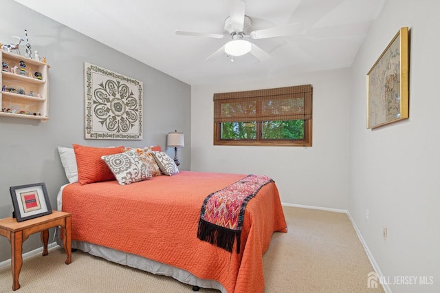 6 Steven Rd, South Brunswick, NJ 08824 - bedroom featuring carpet floors and a ceiling fan