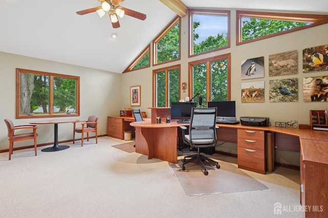 6 Steven Rd, South Brunswick, NJ 08824 - office with high vaulted ceiling, light carpet, and a ceiling fan
