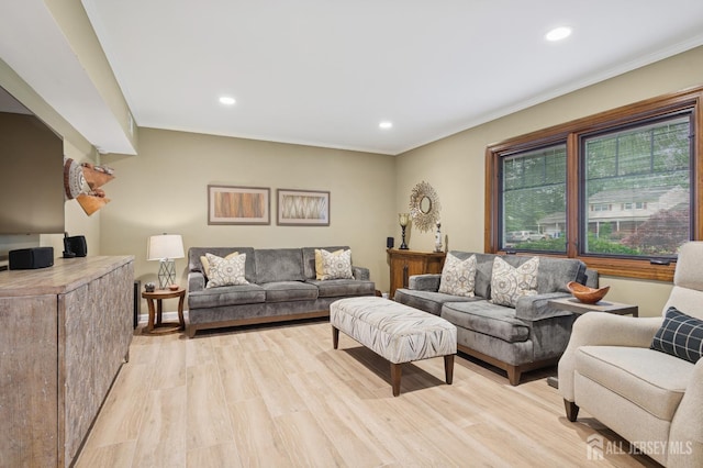 6 Steven Rd, South Brunswick, NJ 08824 - living area with recessed lighting, crown molding, and light wood-type flooring