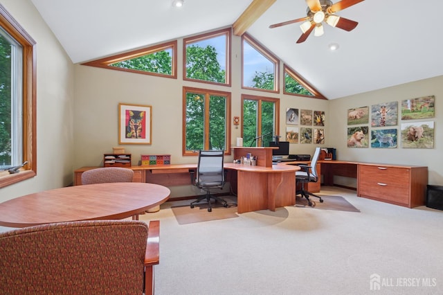 6 Steven Rd, South Brunswick, NJ 08824 - office with high vaulted ceiling, a ceiling fan, carpet, and beam ceiling