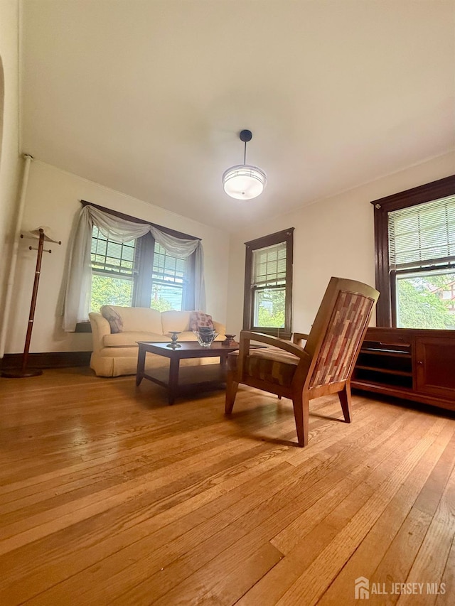 451 E Main St, Somerville, NJ 08876 - sitting room with light wood-style flooring and plenty of natural light