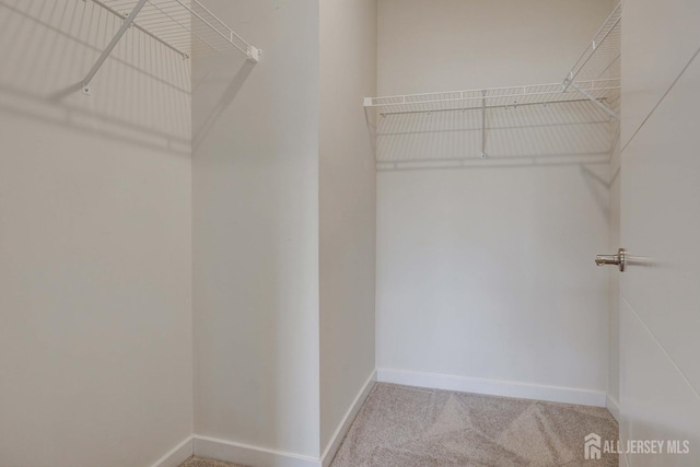 walk in closet featuring carpet floors