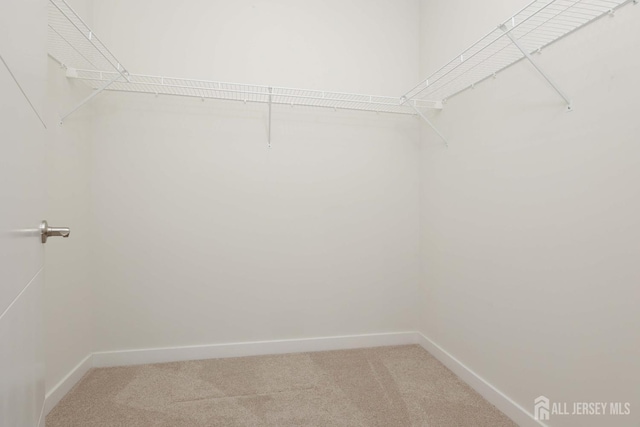 walk in closet featuring carpet floors