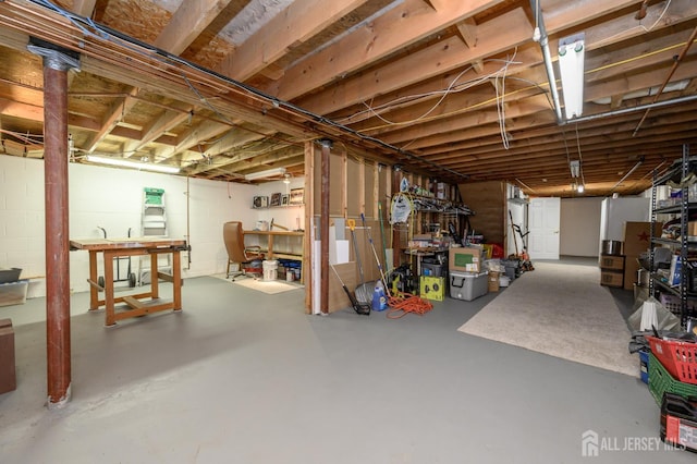 17 Duane St, Jamesburg, NJ 08831 - view of unfinished below grade area