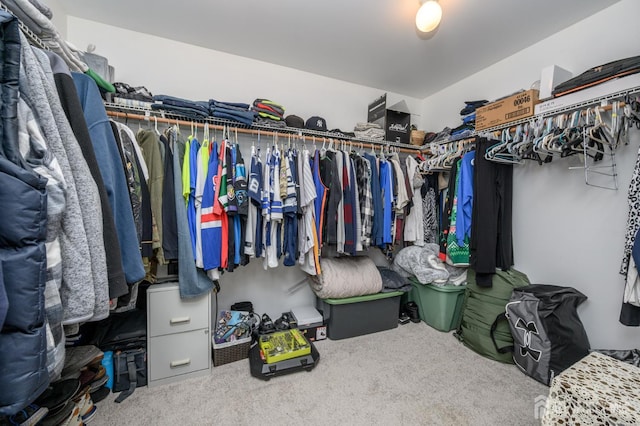 17 Duane St, Jamesburg, NJ 08831 - spacious closet with carpet flooring