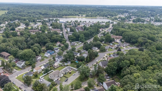17 Duane St, Jamesburg, NJ 08831 - aerial view of property and surrounding area with a nearby body of water and a forest
