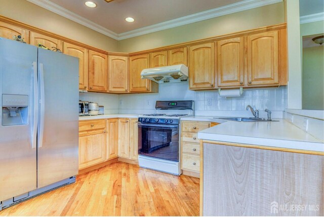 18 Bucknell Dr, East Brunswick, NJ 08816 - kitchen with crown molding, a sink, fridge with ice dispenser, gas range, and under cabinet range hood