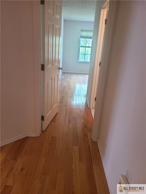 297 Prestwick Way Unit 297, Edison, NJ 08820 - hall with light wood-type flooring, baseboards, and a textured ceiling