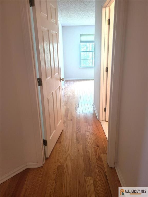 297 Prestwick Way Unit 297, Edison, NJ 08820 - hall featuring light wood-style flooring, baseboards, and a textured ceiling