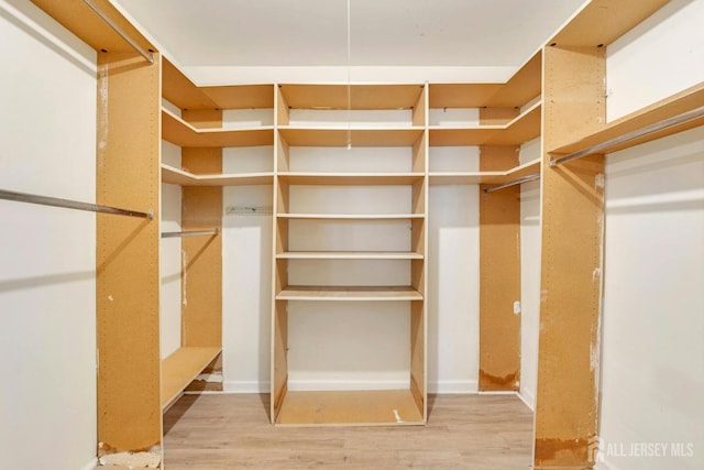 spacious closet featuring light wood finished floors