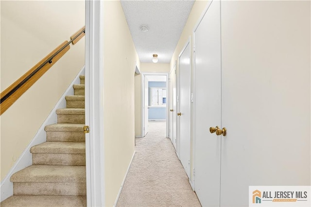 97 Thoreau Dr, Plainsboro, NJ 08536 - photo 25