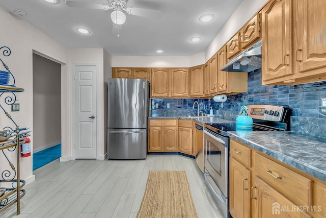 8 John Paul Jones Dr Unit 8A, Monroe, NJ 08831 - kitchen featuring stainless steel appliances, under cabinet range hood, a sink, light wood finished floors, and a ceiling fan