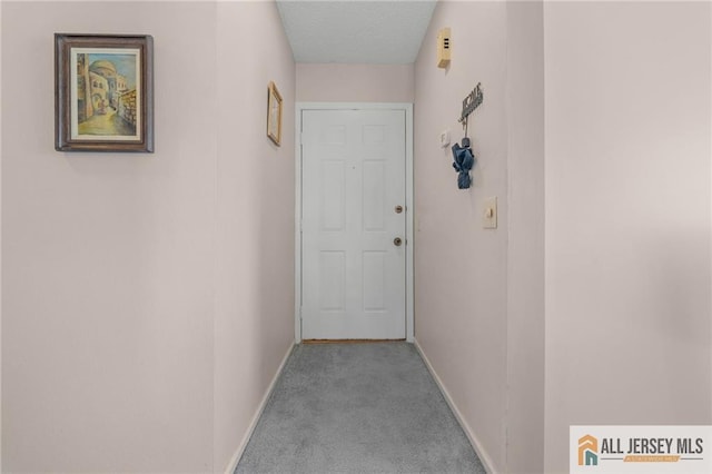 479 Newport Way, Monroe, NJ 08831 - hall with baseboards and carpet flooring