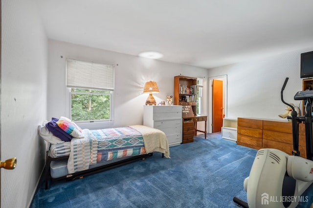 20 Buffalo Run, East Brunswick, NJ 08816 - view of carpeted bedroom