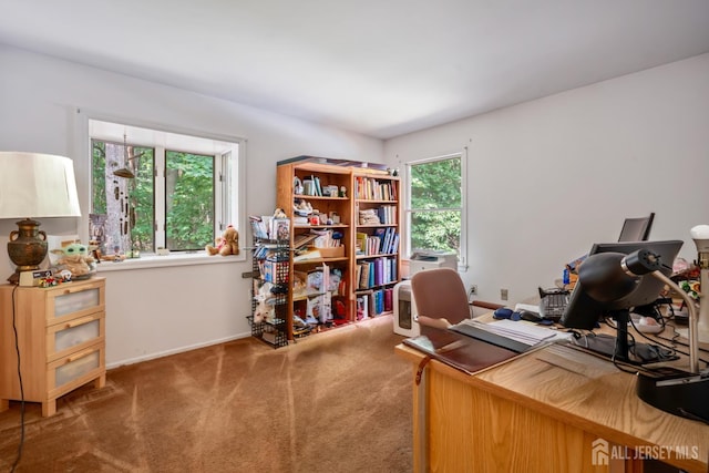 20 Buffalo Run, East Brunswick, NJ 08816 - office area with carpet flooring and baseboards