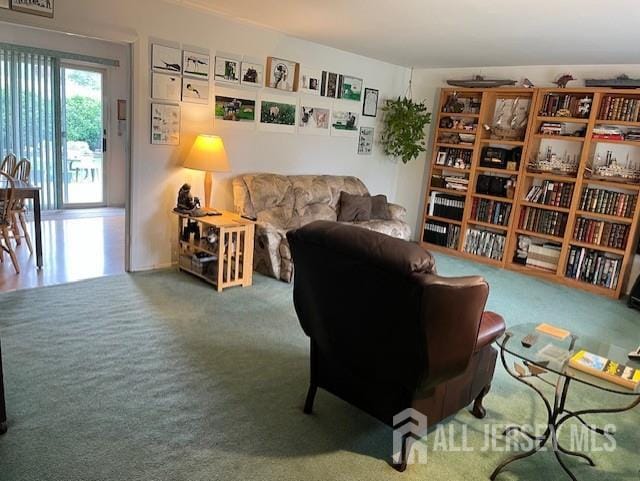 12 Landry Rd, Franklin, NJ 08873 - living area with carpet floors