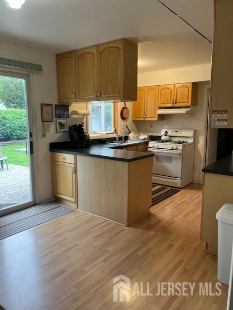 12 Landry Rd, Franklin, NJ 08873 - kitchen with white range with gas cooktop, under cabinet range hood, light wood-style floors, and dark countertops