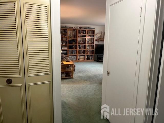 12 Landry Rd, Franklin, NJ 08873 - photo 13