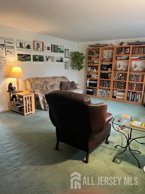 12 Landry Rd, Franklin, NJ 08873 - photo 2