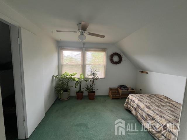 12 Landry Rd, Franklin, NJ 08873 - carpeted bedroom with vaulted ceiling and a ceiling fan