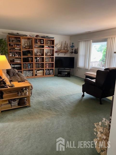 12 Landry Rd, Franklin, NJ 08873 - living room featuring carpet floors