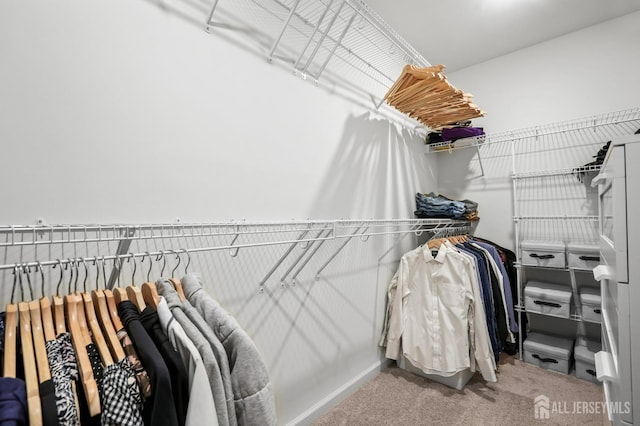 spacious closet with carpet