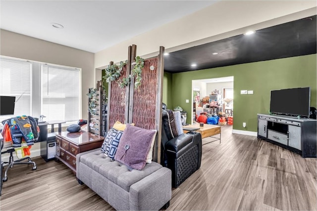 living room featuring hardwood / wood-style flooring