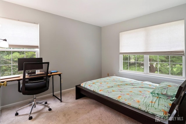 bedroom featuring light colored carpet and multiple windows