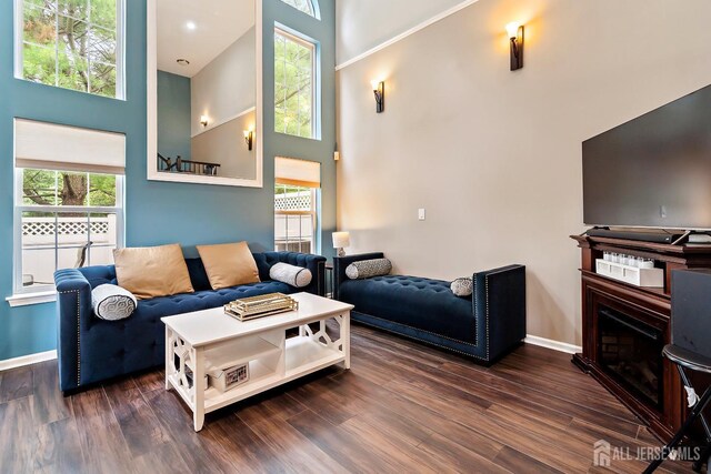 living room with a fireplace, a high ceiling, and dark hardwood / wood-style floors