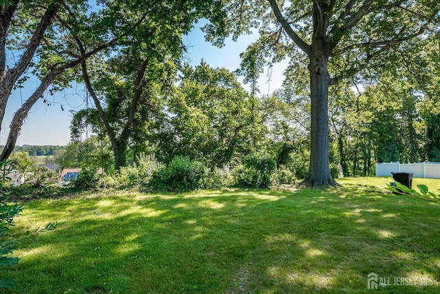 46 Athens Ave, Old Bridge, NJ 08879 - photo 32