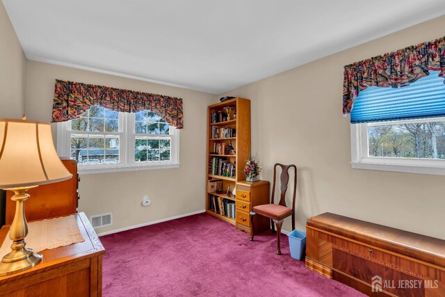 423 Brentwood Dr, Piscataway, NJ 08854 - sitting room with healthy amount of natural light, dark carpet, and baseboards