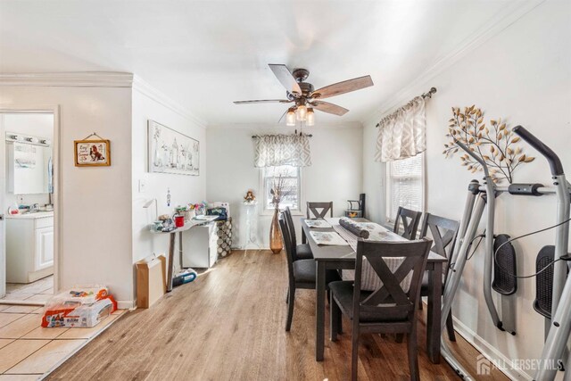 dining room featuring crown molding, ceiling fan, and light wood-type flooring