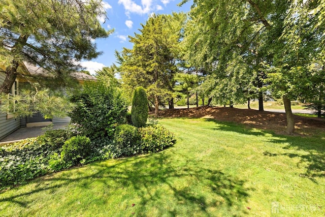 15-A Betsy Ross Dr, Monroe, NJ 08831 - view of grassy yard