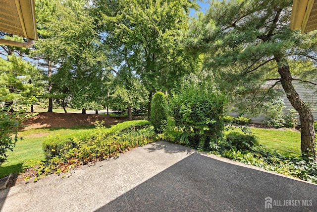 15-A Betsy Ross Dr, Monroe, NJ 08831 - view of patio