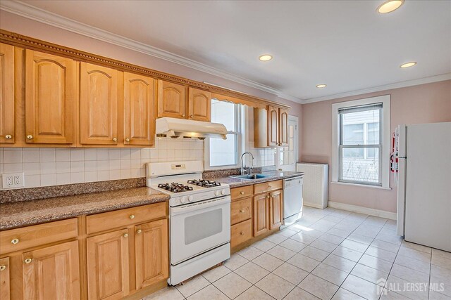 27 N 6th Ave, Highland Park, NJ 08904 - photo 22