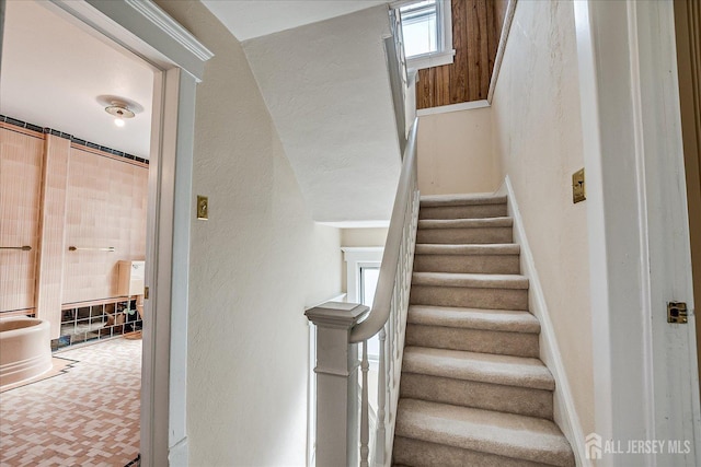 27 N 6th Ave, Highland Park, NJ 08904 - photo 35