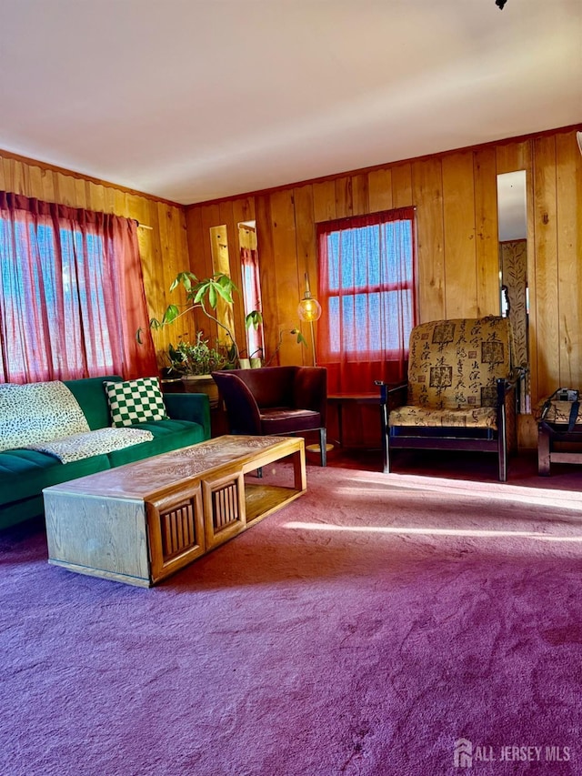 living area featuring wooden walls and carpet