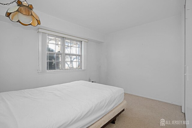 bedroom with carpet