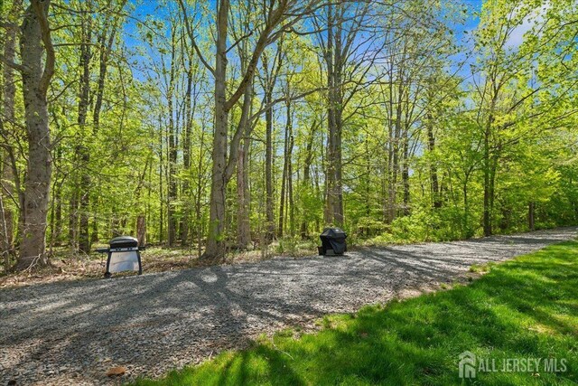 view of community featuring a wooded view