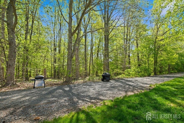 5151 Beech Ct, South Brunswick, NJ 08852 - view of yard with a forest view