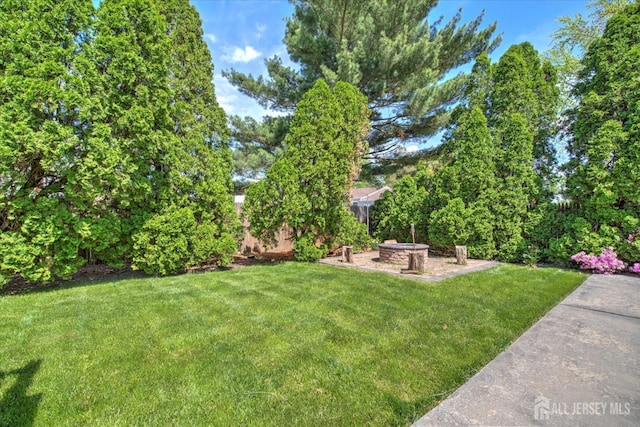 7 Mill Rd, Jamesburg, NJ 08831 - view of green lawn