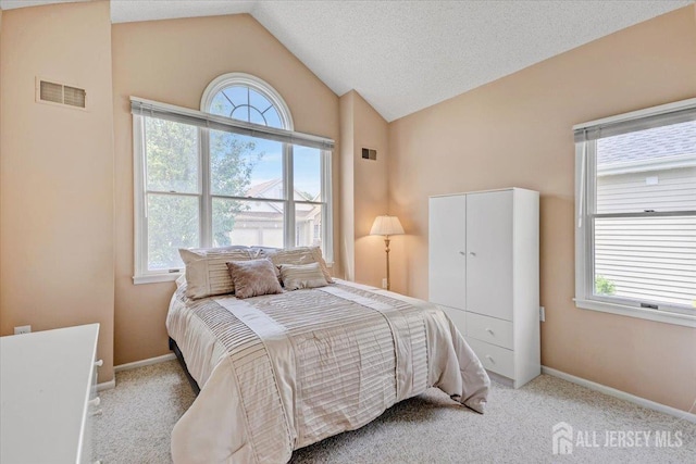 35 Brighton Ct, Monroe, NJ 08831 - bedroom featuring lofted ceiling, multiple windows, light carpet, and baseboards