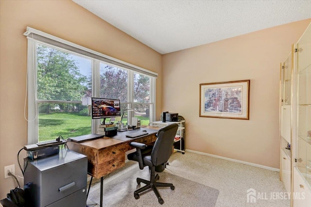 35 Brighton Ct, Monroe, NJ 08831 - office featuring carpet, baseboards, and a textured ceiling