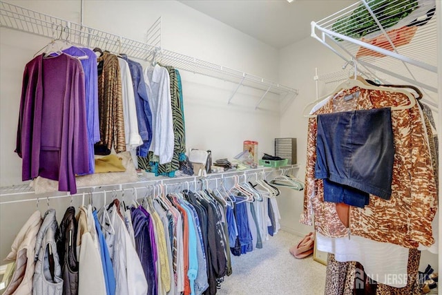 35 Brighton Ct, Monroe, NJ 08831 - spacious closet with carpet flooring