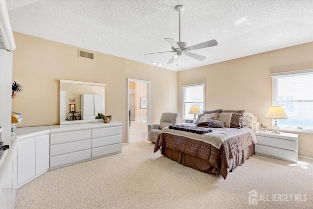 35 Brighton Ct, Monroe, NJ 08831 - bedroom with light carpet, a textured ceiling, connected bathroom, and a ceiling fan